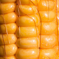 Corn Oils Image