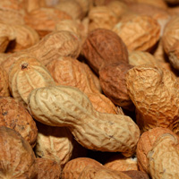 Peanut Oils Image